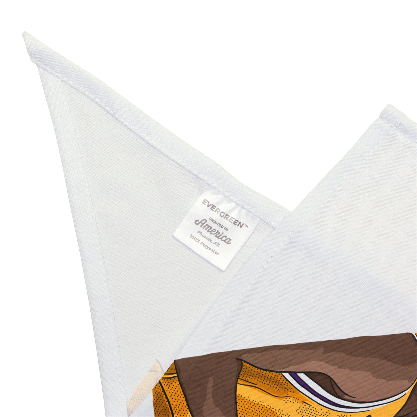 Sunrise - Pet Bandana